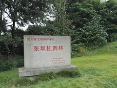 -张坝桂圆林公园
