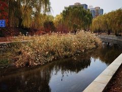 -元大都城垣遗址公园