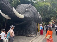 -野象谷景区