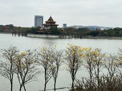 -顺峰山公园