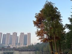 -重庆彩云湖湿地公园