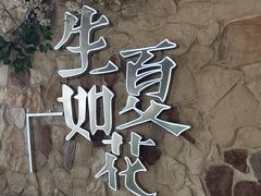 -生如夏花泰式火锅(鹭洲里店)