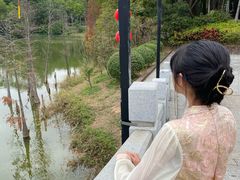 -金山植物公园