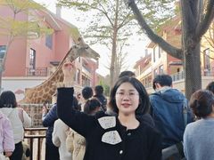 -灵玲国际马戏城
