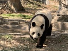 -宁波野生动物园
