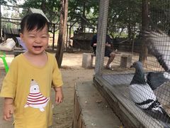 -意大利农场度假村