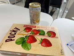 -关西国际机场直营免税店