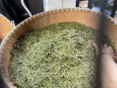 -阿巧茶庄