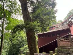 -凤栖山