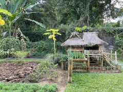 -中国科学院西双版纳热带植物园