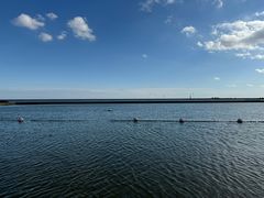 -碧海金沙