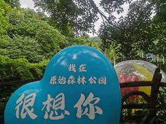 -西双版纳原始森林公园