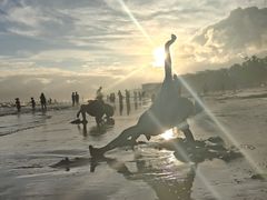 -三亚湾海居雅高铂尔曼度假酒店