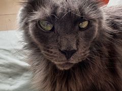 -平行世界·猫咖(首经贸店)