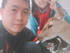 -鹿境梅花鹿生态园区
