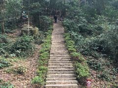 -岳麓山风景名胜区