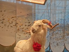 -百草滩羊清水涮羊肉·清真·宁夏盐池滩羊(莲花桥店)
