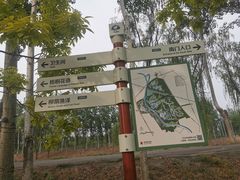 -东郊湿地公园