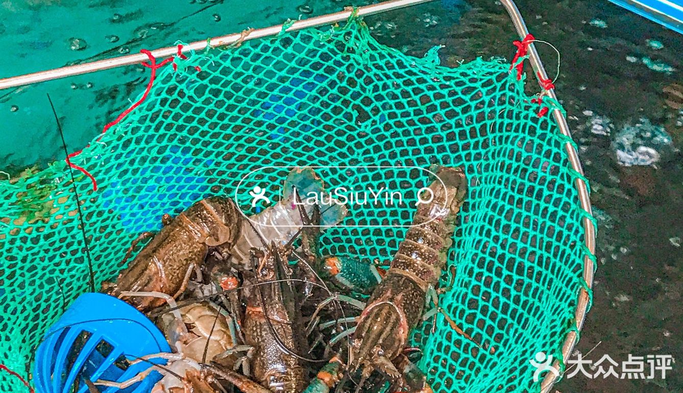 我摊牌了‼️湛江这餐厅真的便宜好食 人均39r💰