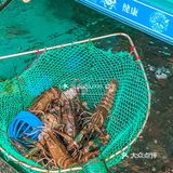 我摊牌了‼️湛江这餐厅真的便宜好食 人均39r💰
