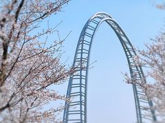 -顾村公园