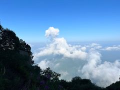 -白草畔自然风景区