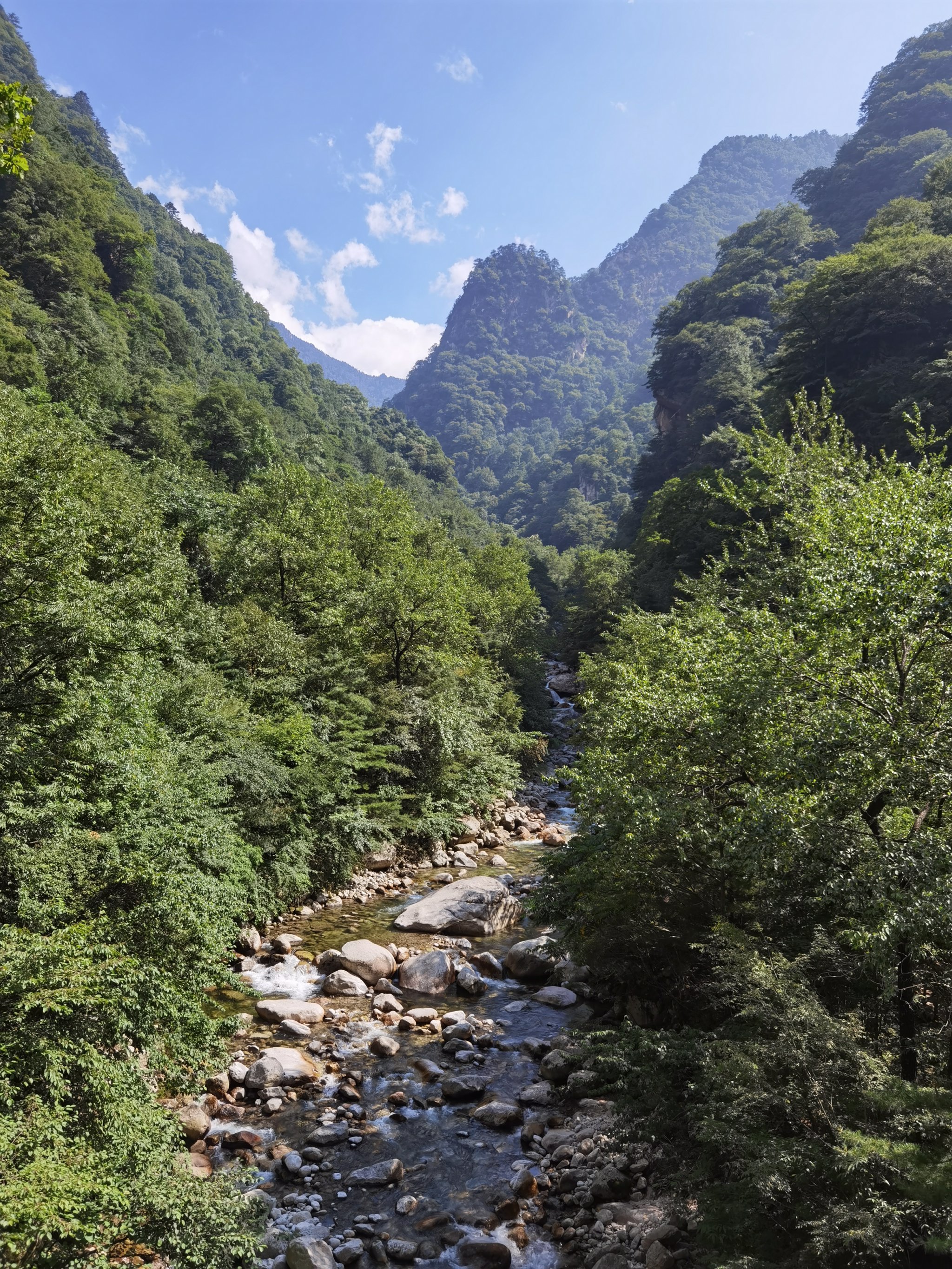 青峰峡国家森林公园图片