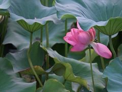 -昆山城市生态森林公园