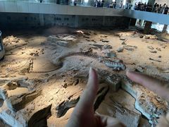 -自贡恐龙博物馆