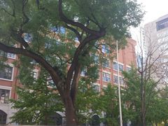 -北京八中游泳馆