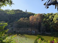 -深圳仙湖植物园