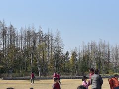 -上海长兴岛郊野公园