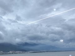 -野菌皇海景野生菌火锅(滨海大道店)
