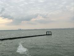 -贡湖湾湿地公园