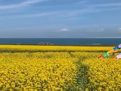 -青海湖国家重点风景名胜区