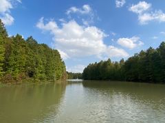 -上海海湾国家森林公园