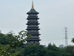 -重庆园博园