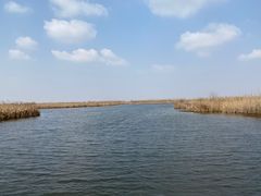 -宁波杭州湾国家湿地公园