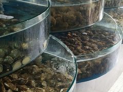 -蓝珊甄选海鲜自助·火锅大排档(近阿那亚店)