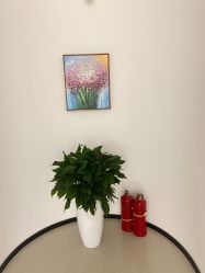 -丰联丽格医疗美容·联合丽格眼整形中心