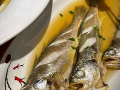 -北部湾海鲜饭店(大新路店)