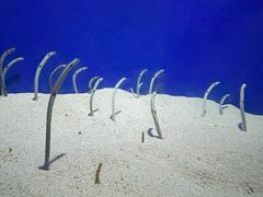 -上海海洋水族馆