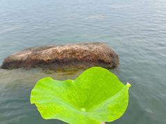 -滆湖低碳生态公园