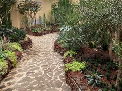 -正佳雨林生态植物园