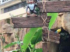 -杭州开元森泊度假乐园