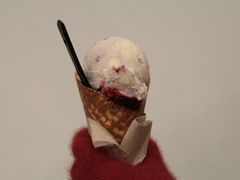 -Patagonia Chocolates(皇后镇店)