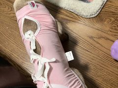 -康乐宝动物医院