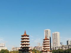 -宝岛公园