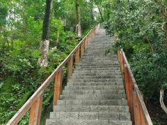 -云碧峰国家森林公园