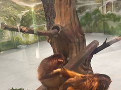 -杭州野生动物世界